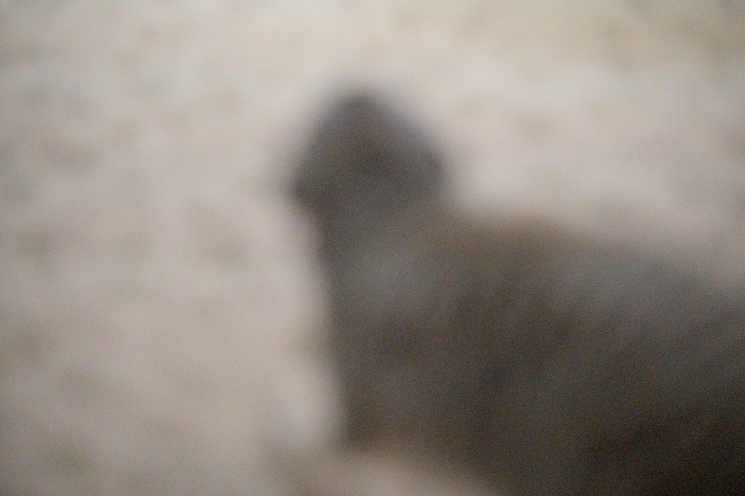 2025/10/12 - zoo/DSC_0323.jpg